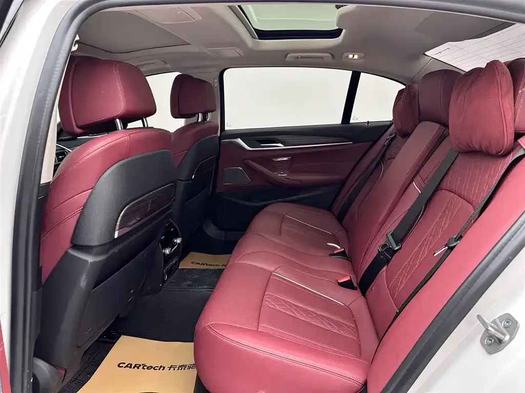 BMW 5 Series 2021 из CN, фото 5