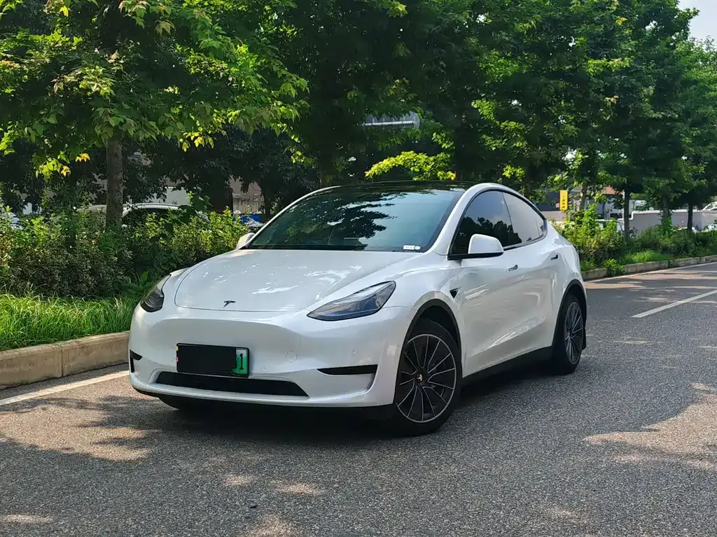 Tesla Model Y — фото 1