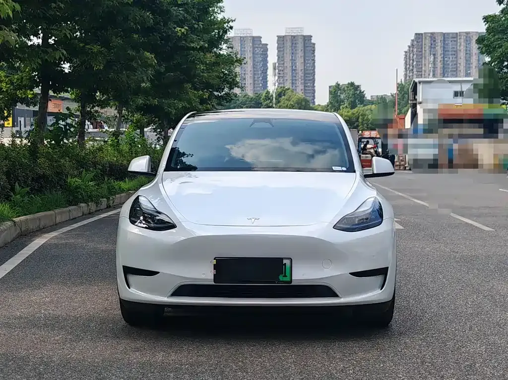 Tesla Model Y — фото 10