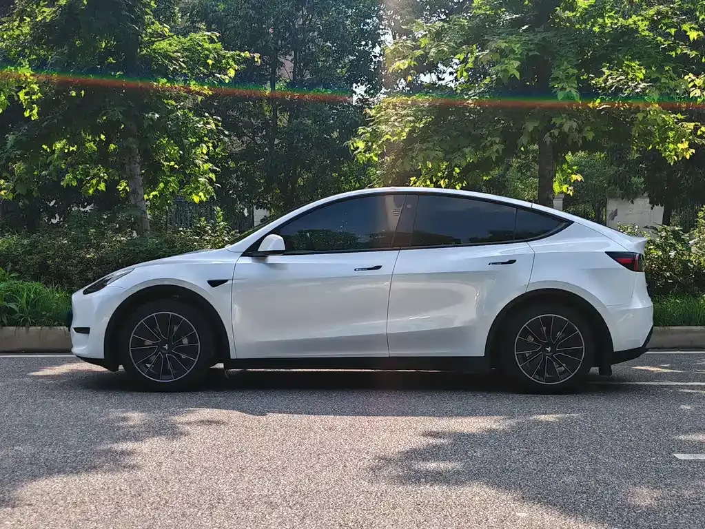 Tesla Model Y — фото 9