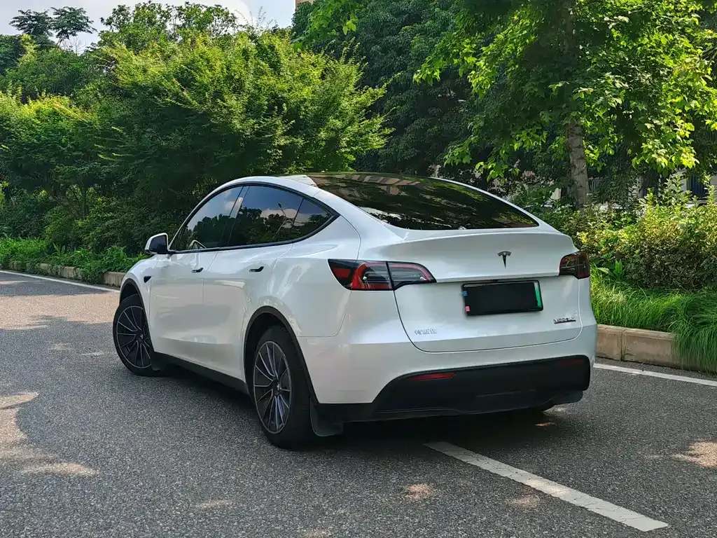 Tesla Model Y — фото 4