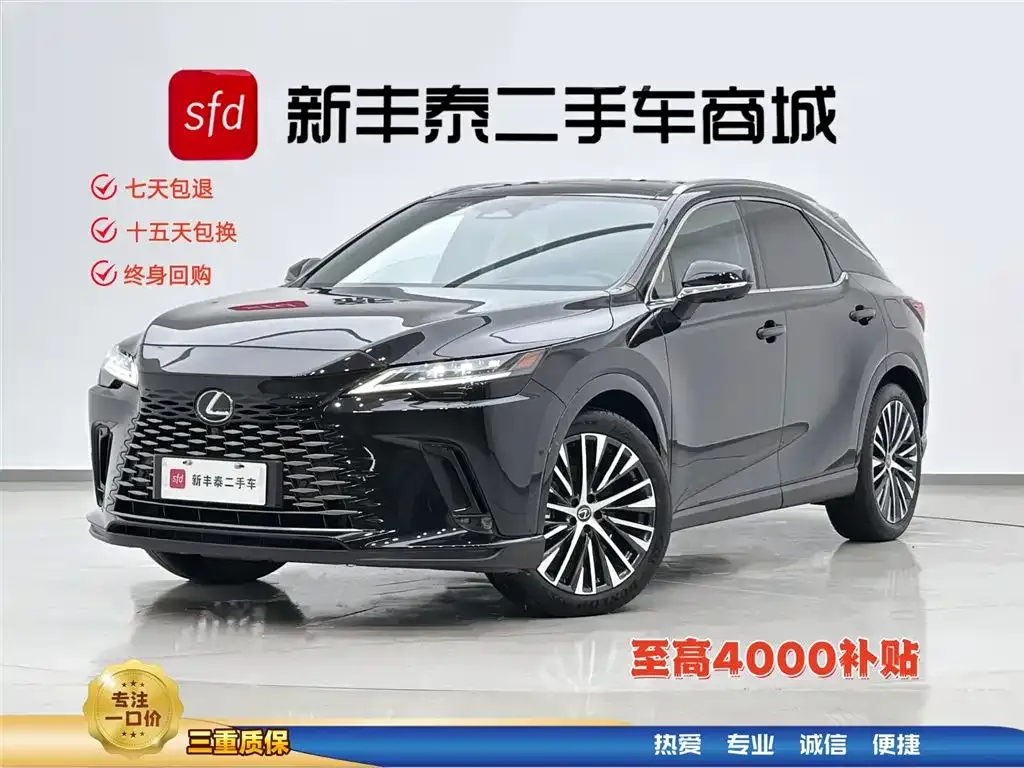 Lexus RX New Energy