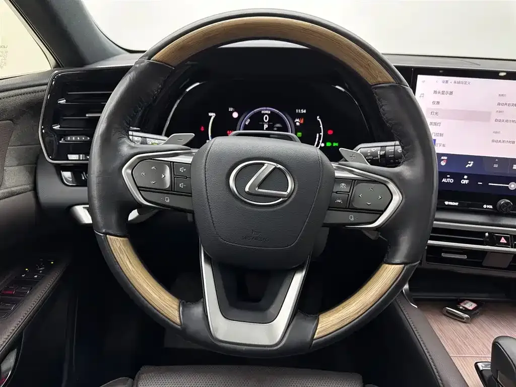 Lexus RX New Energy 2023 из CN, фото 6