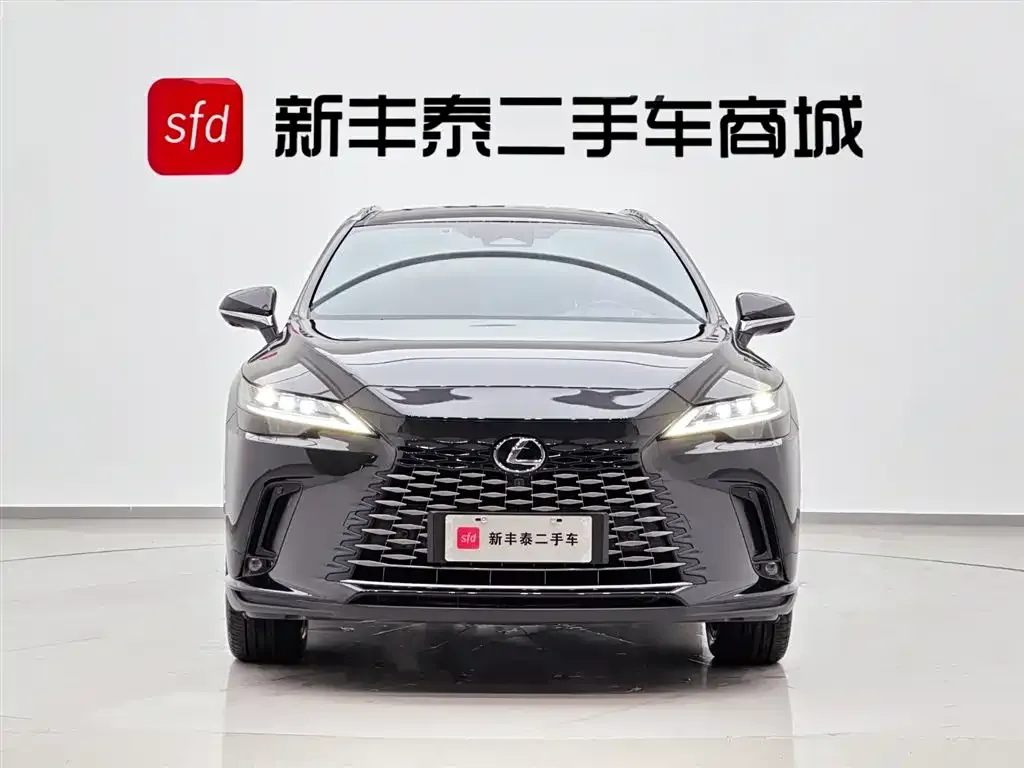 Lexus RX New Energy 2023 из CN, фото 5