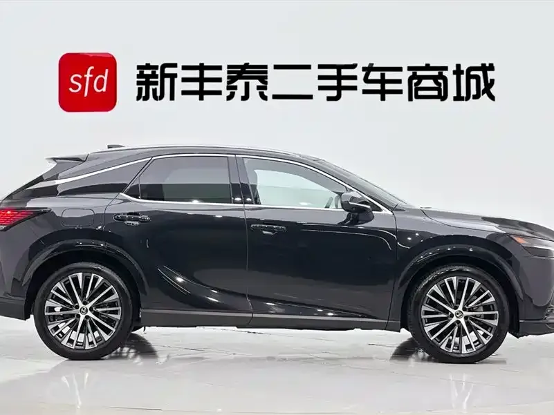 Lexus RX New Energy 2023 из CN, фото 7