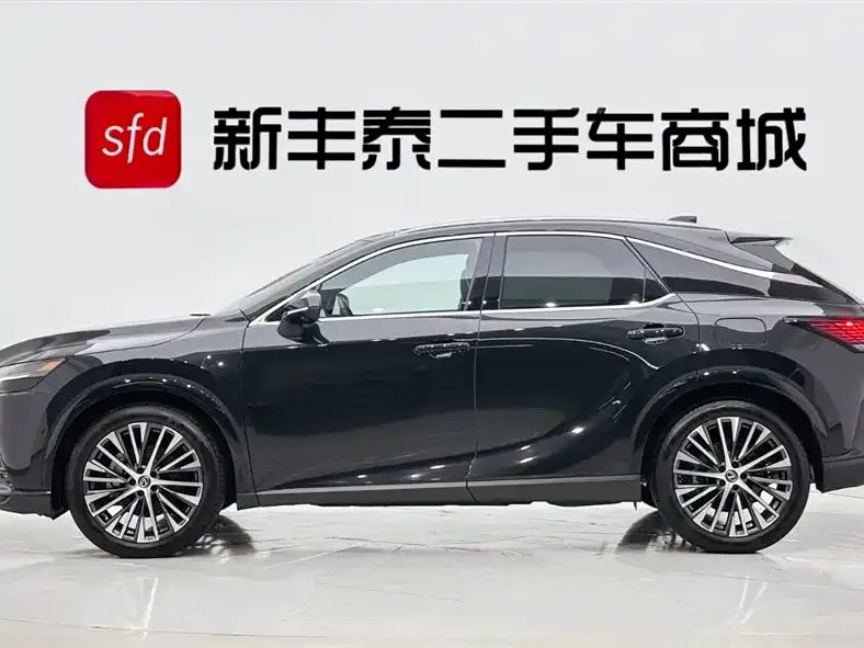 Lexus RX New Energy 2023 из CN, фото 2