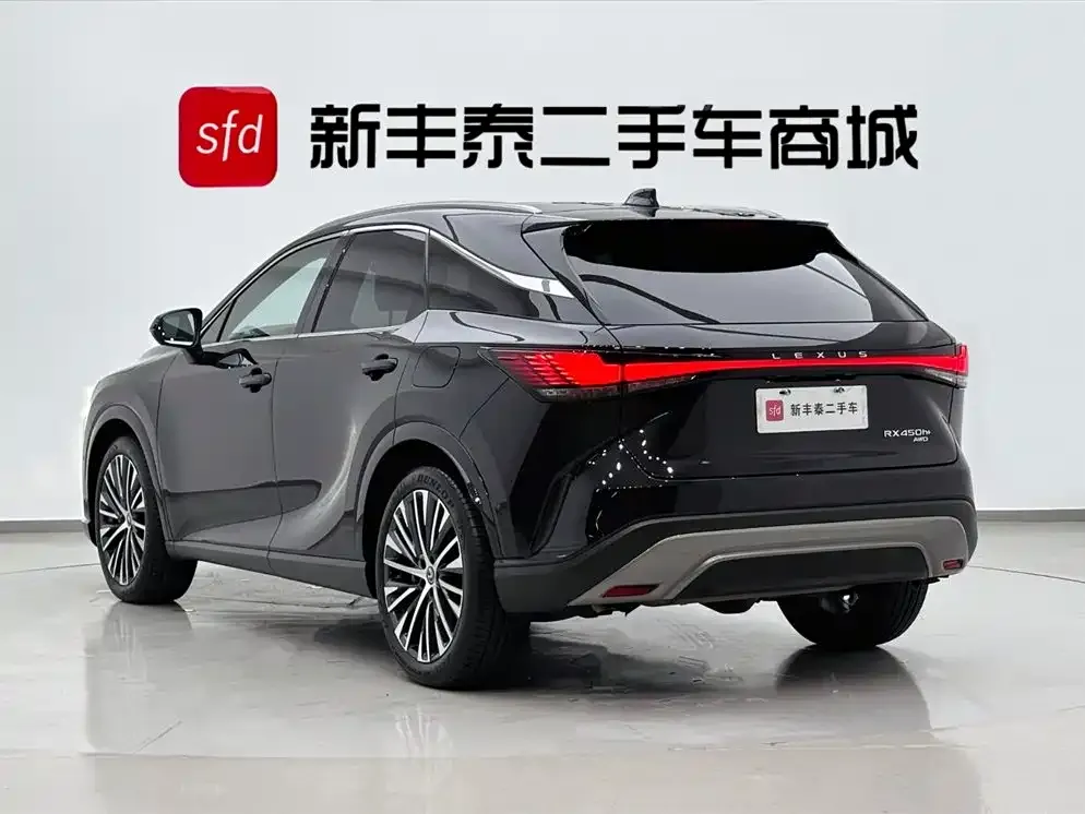 Lexus RX New Energy 2023 из CN, фото 9