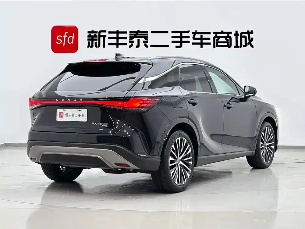 Lexus RX New Energy 2023 из CN, фото 8