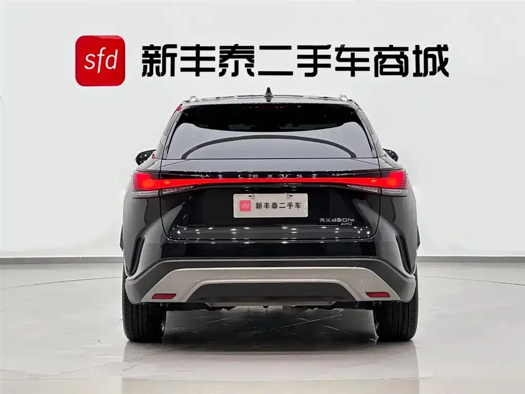Lexus RX New Energy 2023 из CN, фото 4