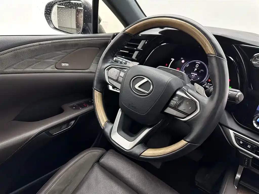 Lexus RX New Energy 2023 из CN, фото 10