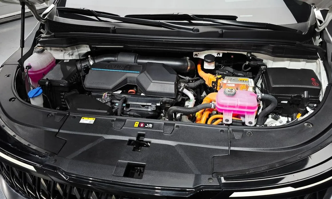 Kia Carnival — фото 10