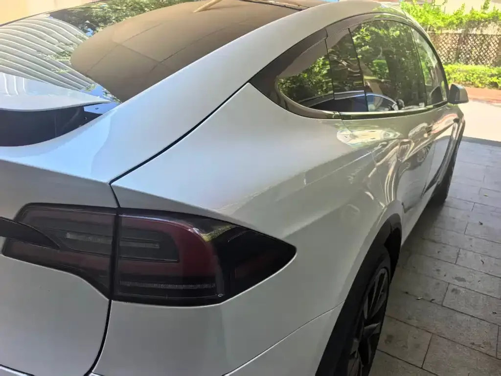 Tesla Model X 2023 из CN, фото 6
