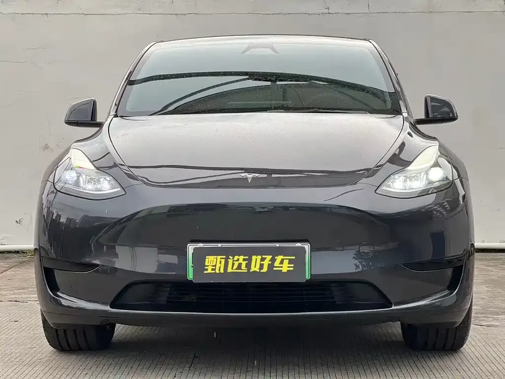 Tesla Model Y — фото 3