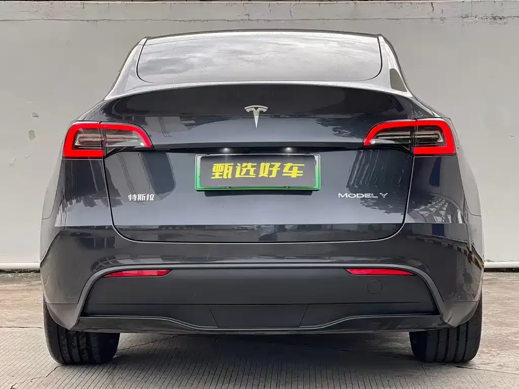 Tesla Model Y — фото 8