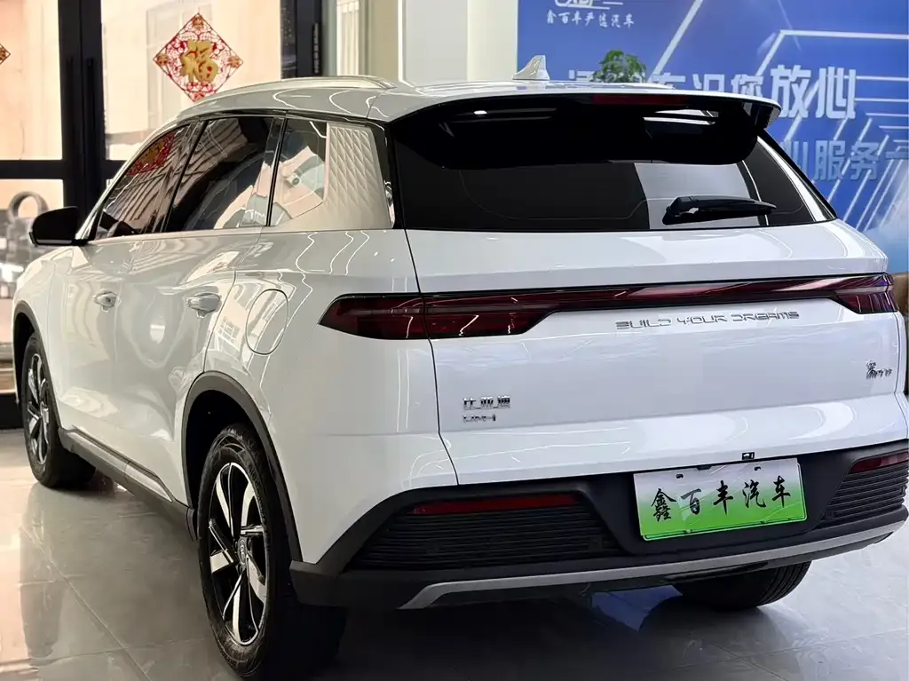 BYD Pro New Energy — фото 7