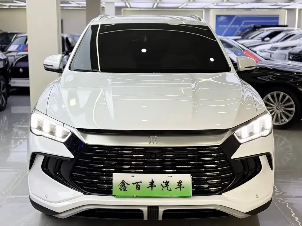 BYD Pro New Energy — фото 9