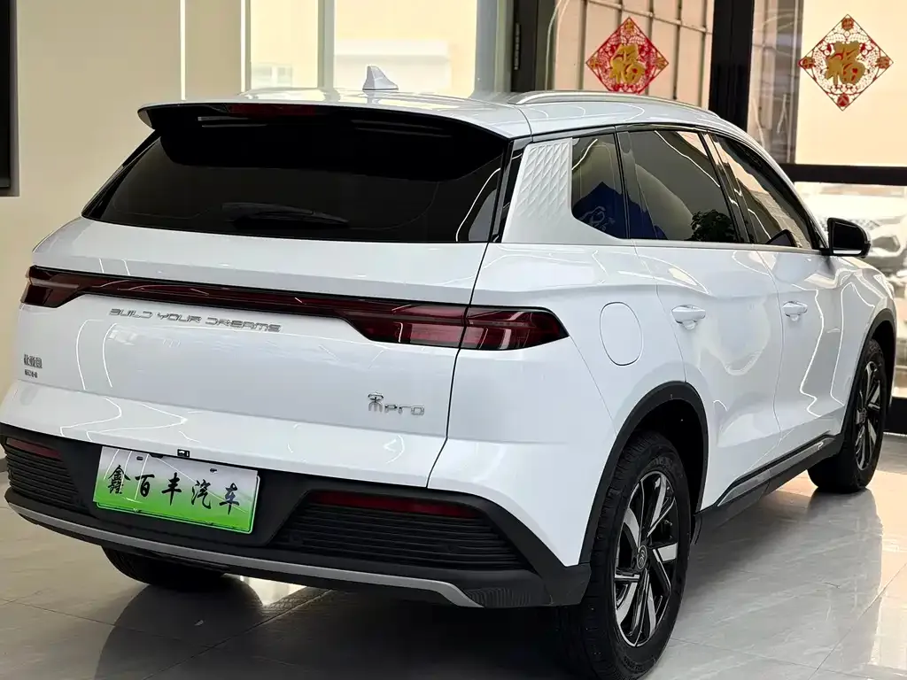 BYD Pro New Energy — фото 6