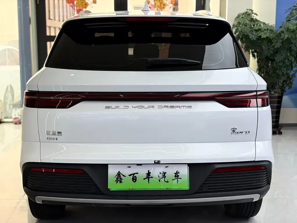 BYD Pro New Energy — фото 4