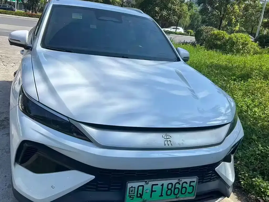 BYD Pro New Energy — фото 1