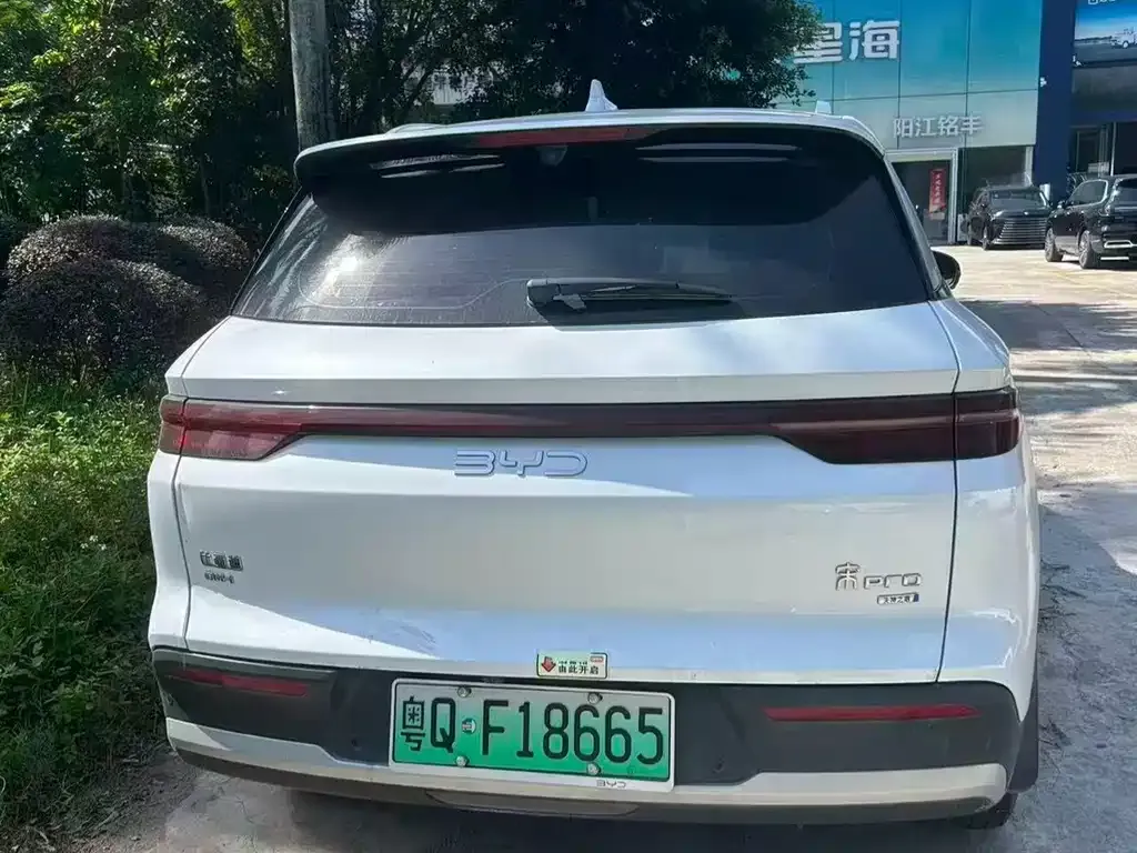 BYD Pro New Energy — фото 6