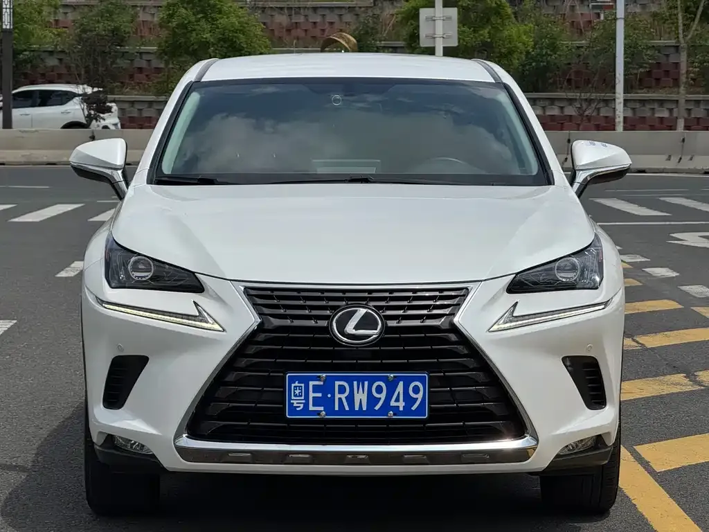 Lexus NX 2021 из CN, фото 8