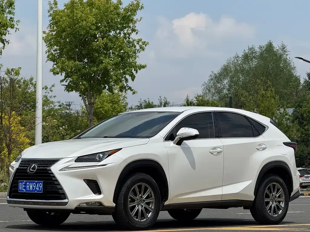 Lexus NX 2021 из CN, фото 5