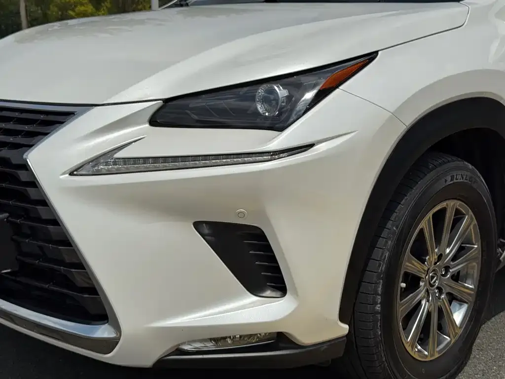 Lexus NX 2021 из CN, фото 3