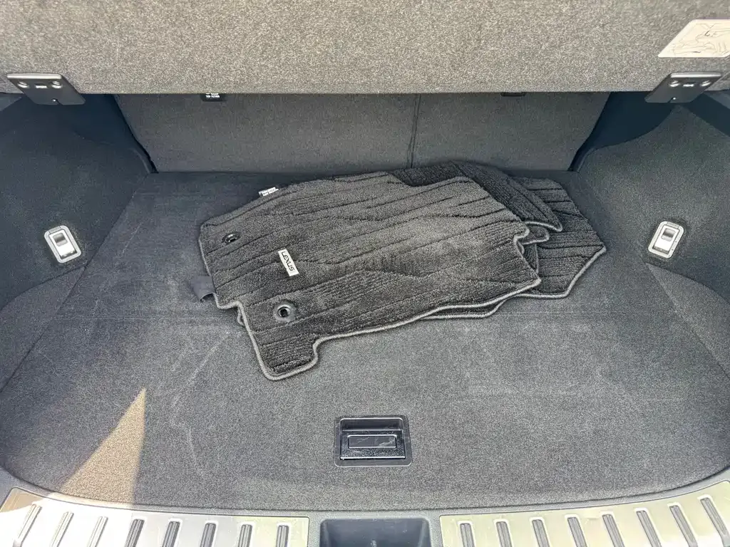 Lexus NX 2021 из CN, фото 9
