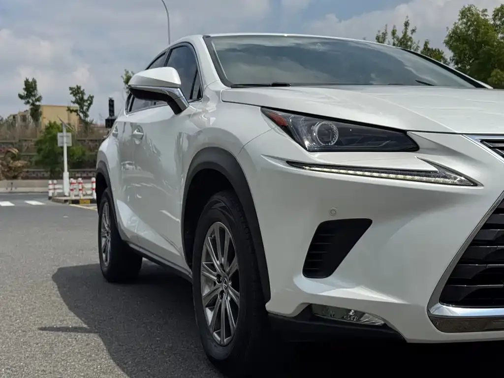 Lexus NX 2021 из CN, фото 4