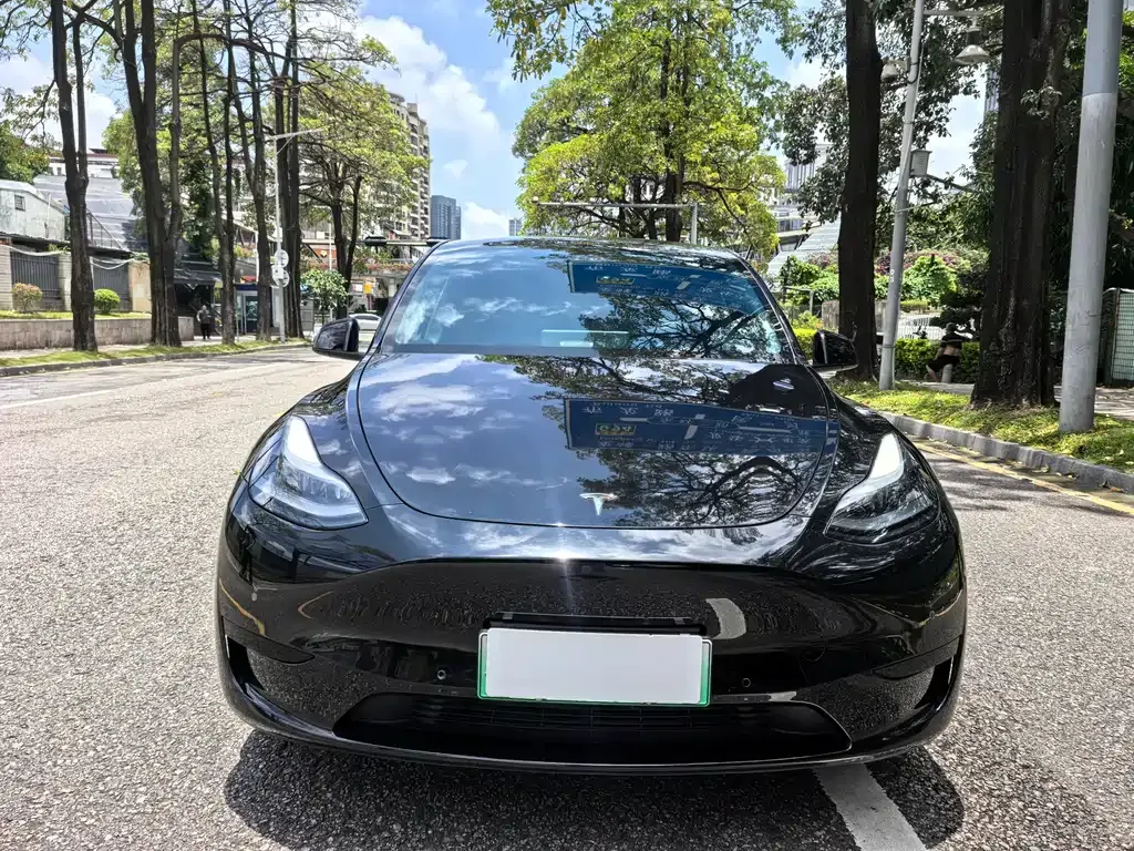 Tesla Model Y — фото 7