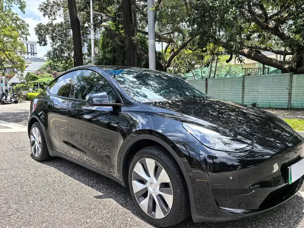 Tesla Model Y — фото 5