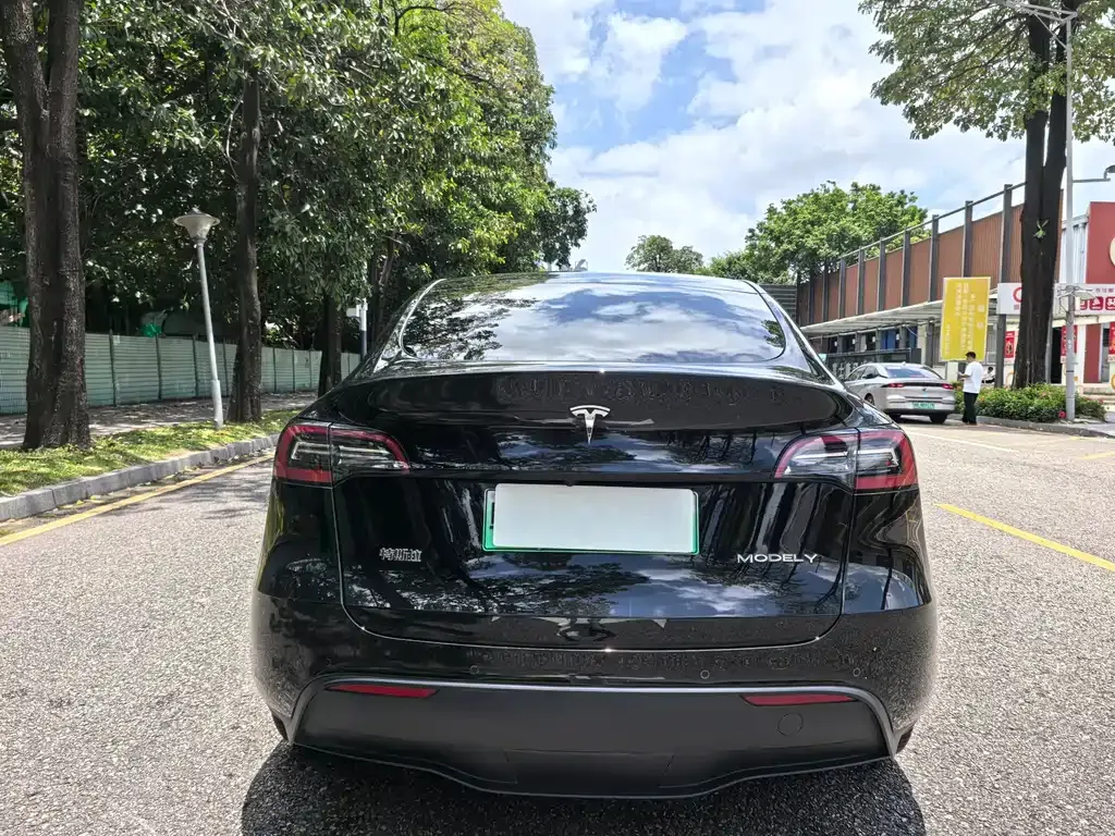 Tesla Model Y — фото 4