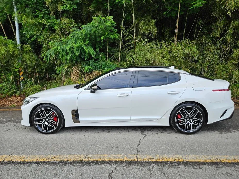Kia Stinger 2021 из KR, фото 10
