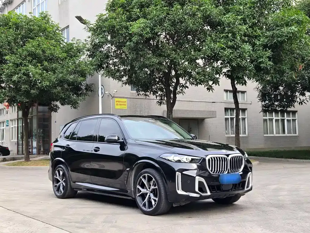 BMW X5 — фото 10