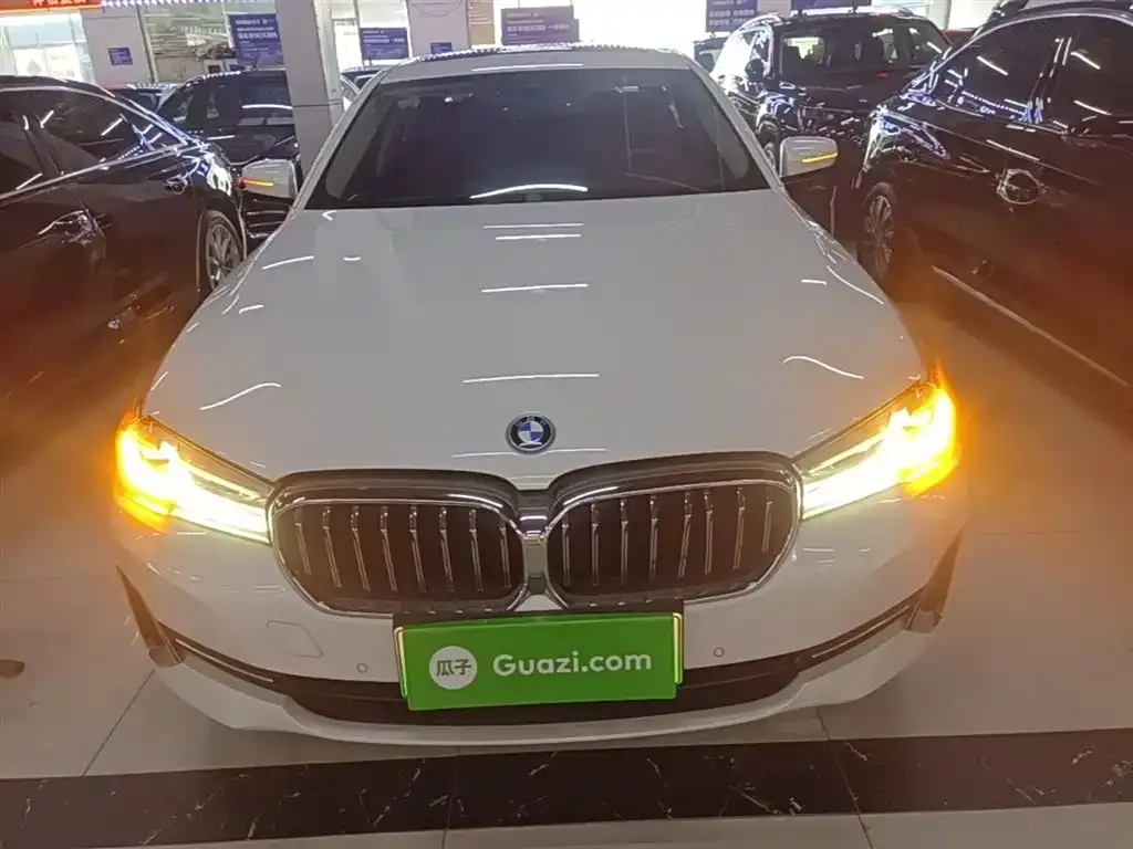 BMW 5 Series New Energy — фото 8