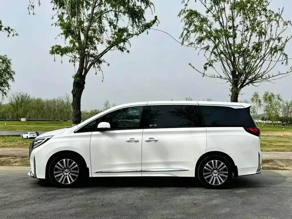 GAC Motor Trumpchi M8 — фото 6