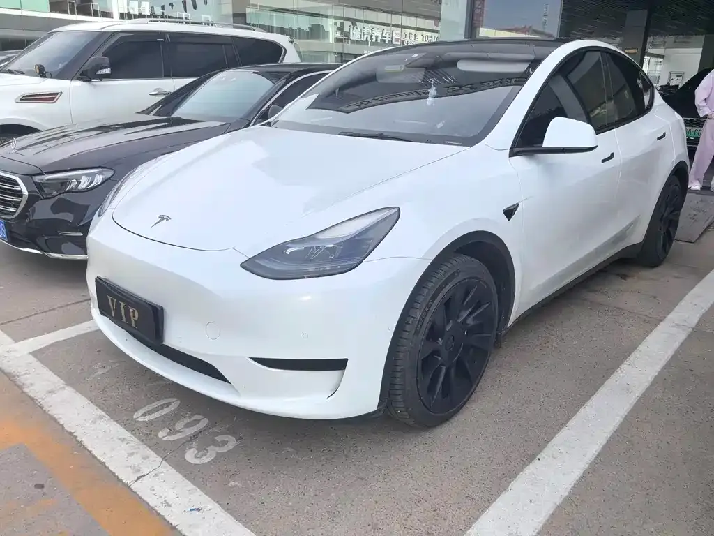 Tesla Model Y — фото 1