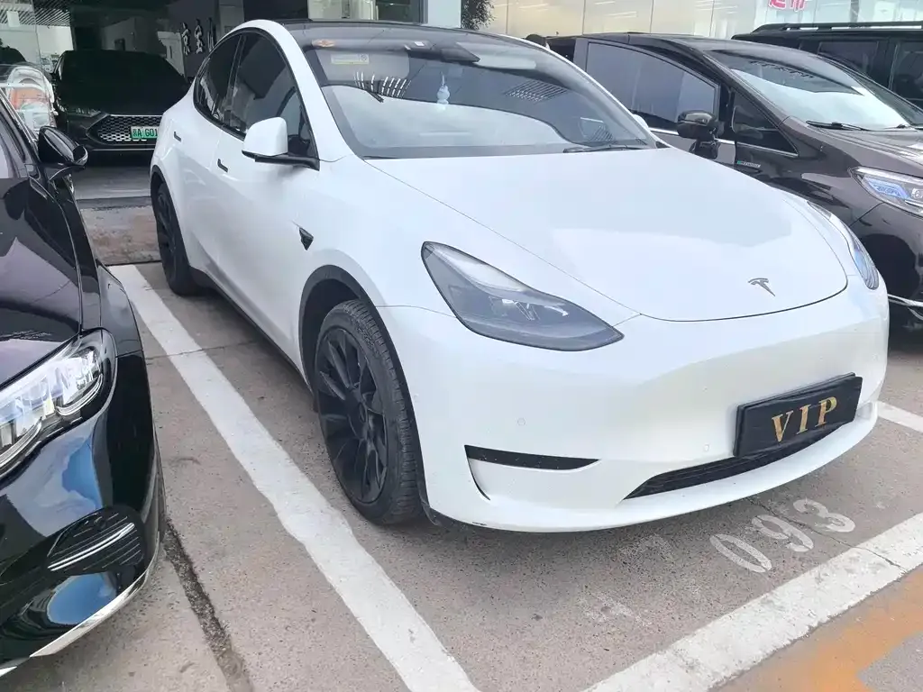 Tesla Model Y — фото 6