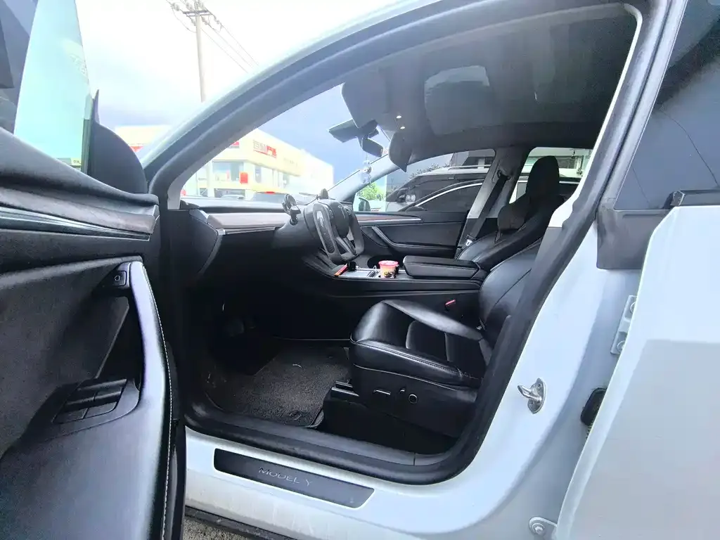 Tesla Model Y — фото 9