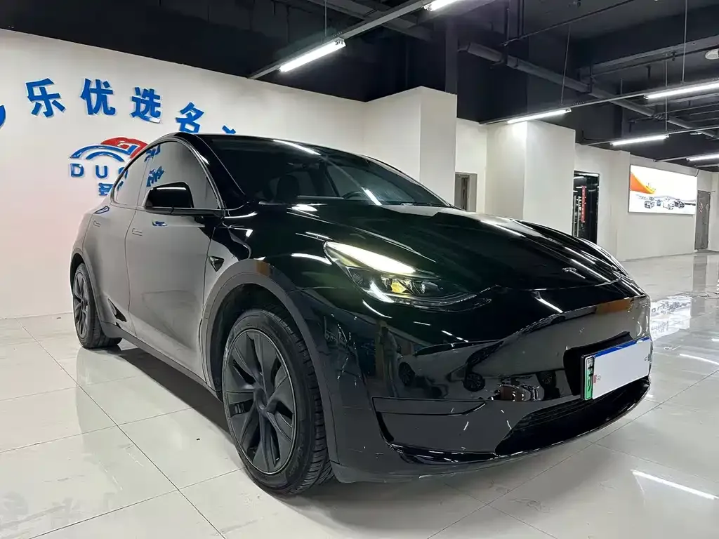 Tesla Model Y — фото 6