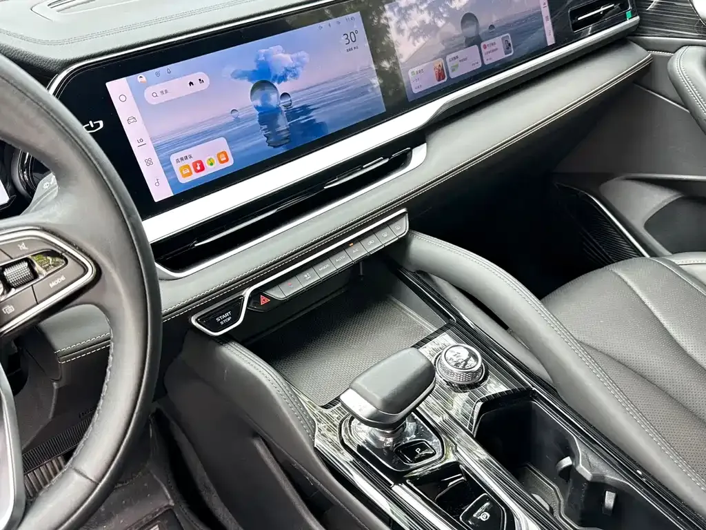 Geely Xingyue L 2024 из CN, фото 6