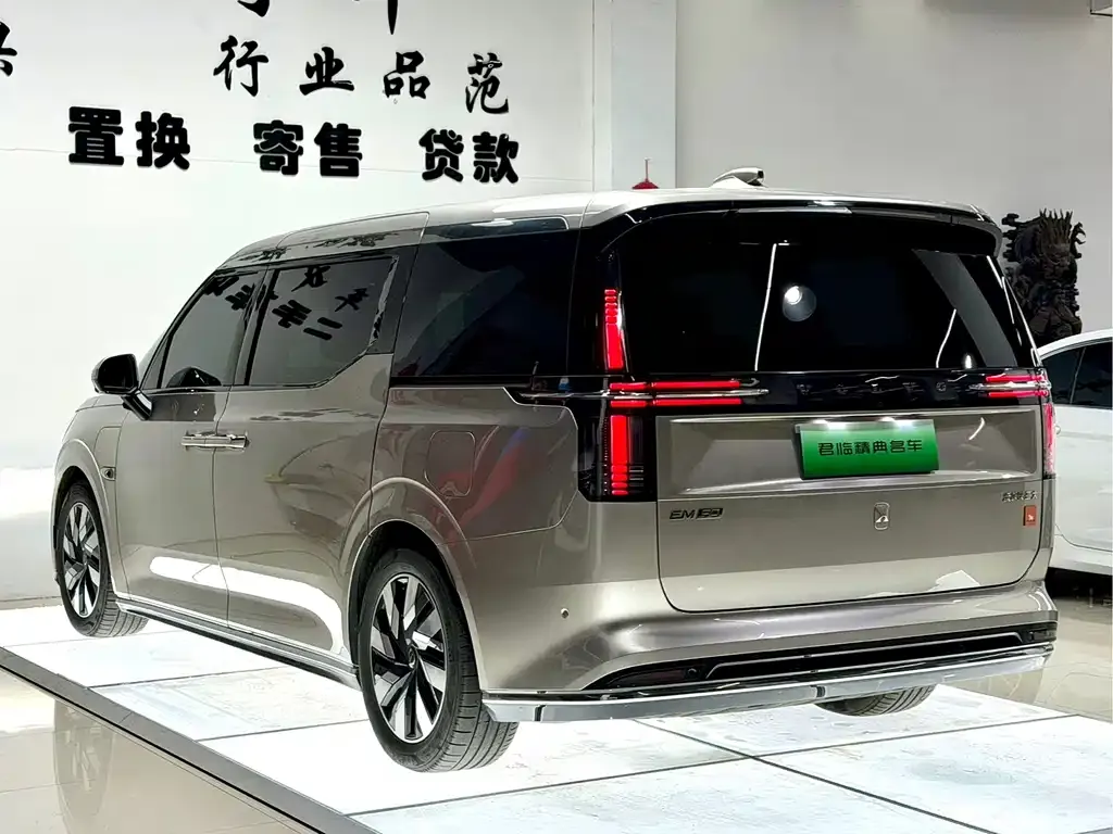 Volvo EM90 2024 из CN, фото 10