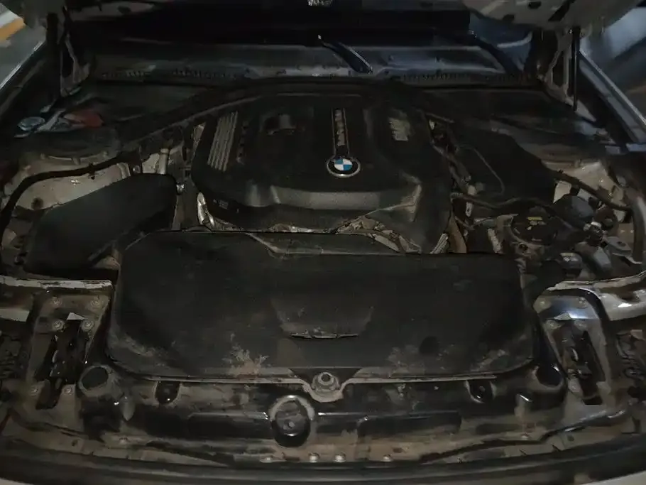 BMW 3 Series GT 2021 из CN, фото 5