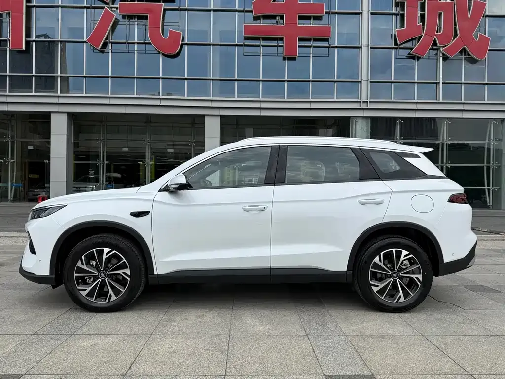 BYD Pro New Energy — фото 5