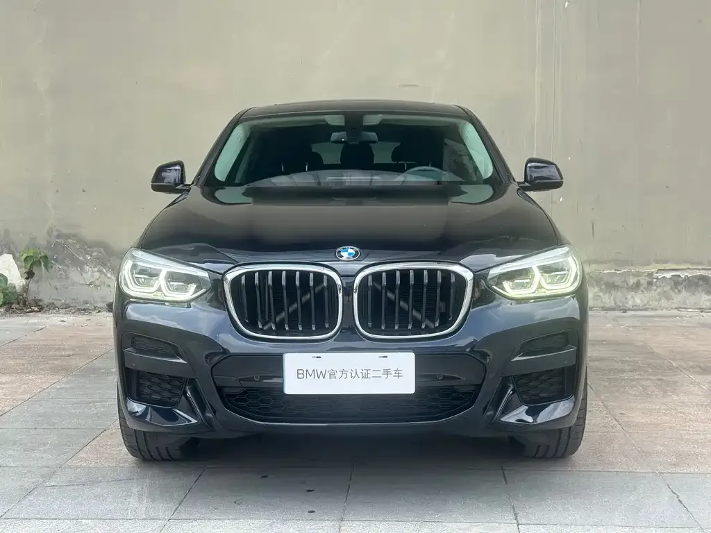 BMW X4 2021 из CN, фото 4