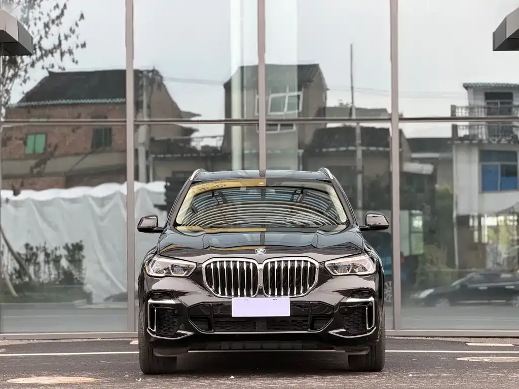 BMW X5 2022 из CN, фото 9