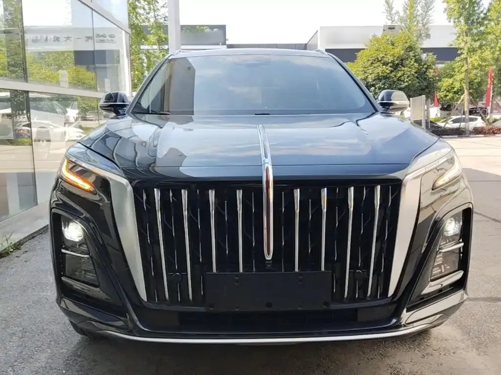Hongqi HS3 2024 из CN, фото 9