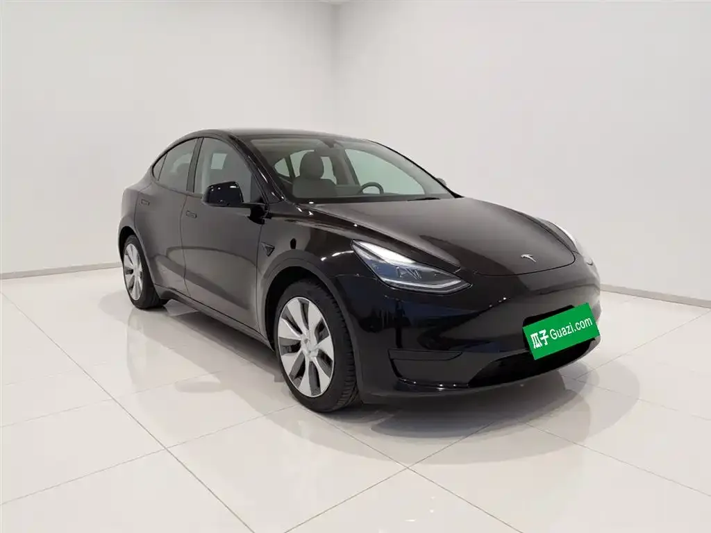 Tesla Model Y — фото 9