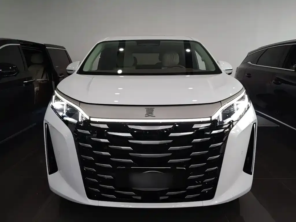 BYD Xia 2025 из CN, фото 2