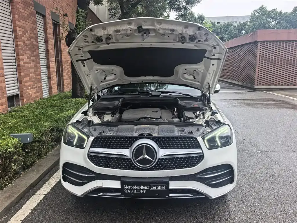 Mercedes-Benz 奔驰GLE(进口) — фото 8